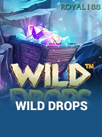 Wild Drops game cover